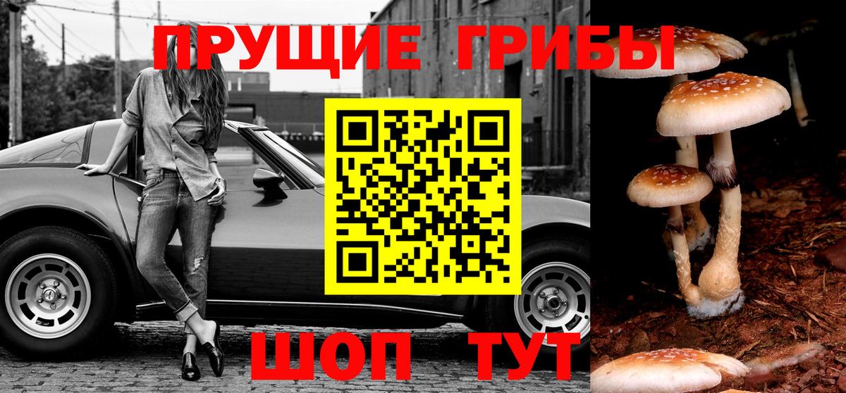 Псилоцибиновые грибы ЛСД Серпухов